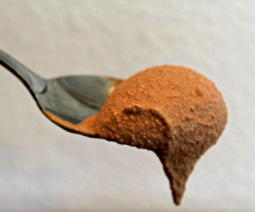 Vegan Coconut Chocolate Ice Cream