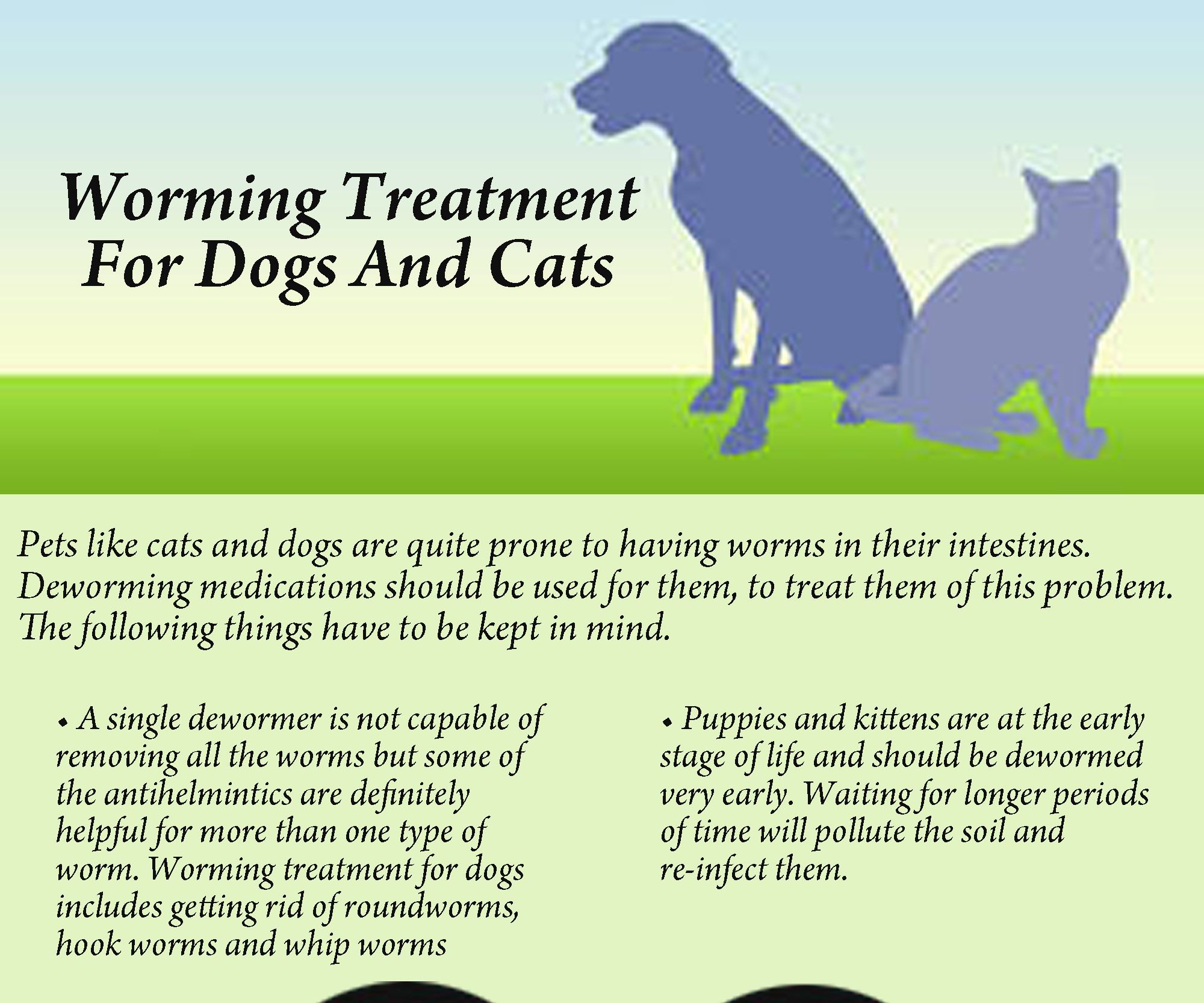 Worming Treatment for Dogs and Cats