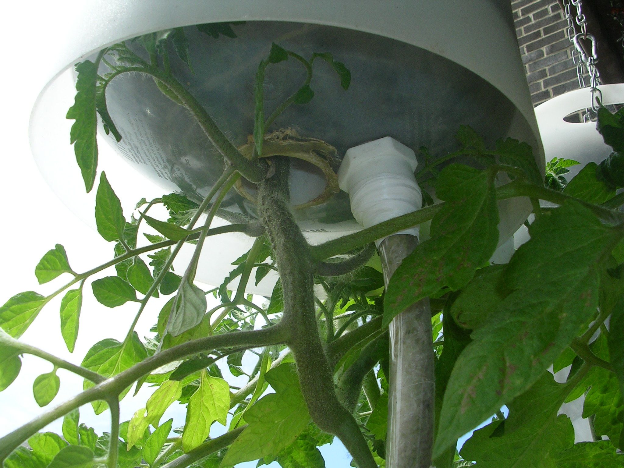Upside-Down Hanging Self-Watering Earth-Filled Box! : 6 Steps (with  Pictures) - Instructables