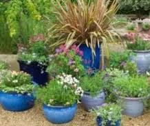 Create Beautiful Flower Pot Gardens