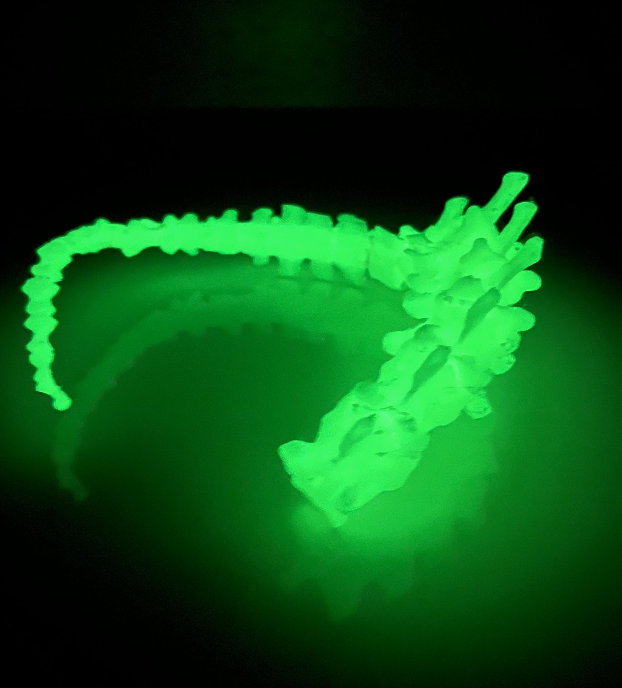 Glow in the Dark 3D Printed Spine Necklace : 6 Steps - Instructables