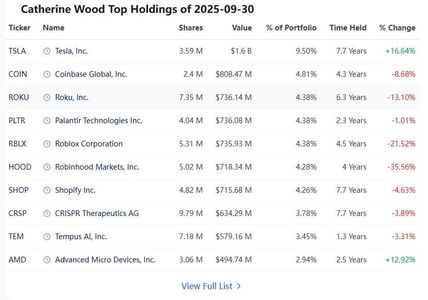 Reading the "Top Holdings" Data Grid