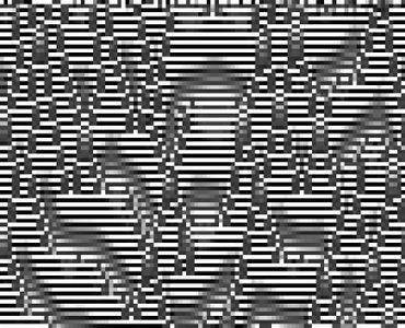 Next Steps - Cellular Automata