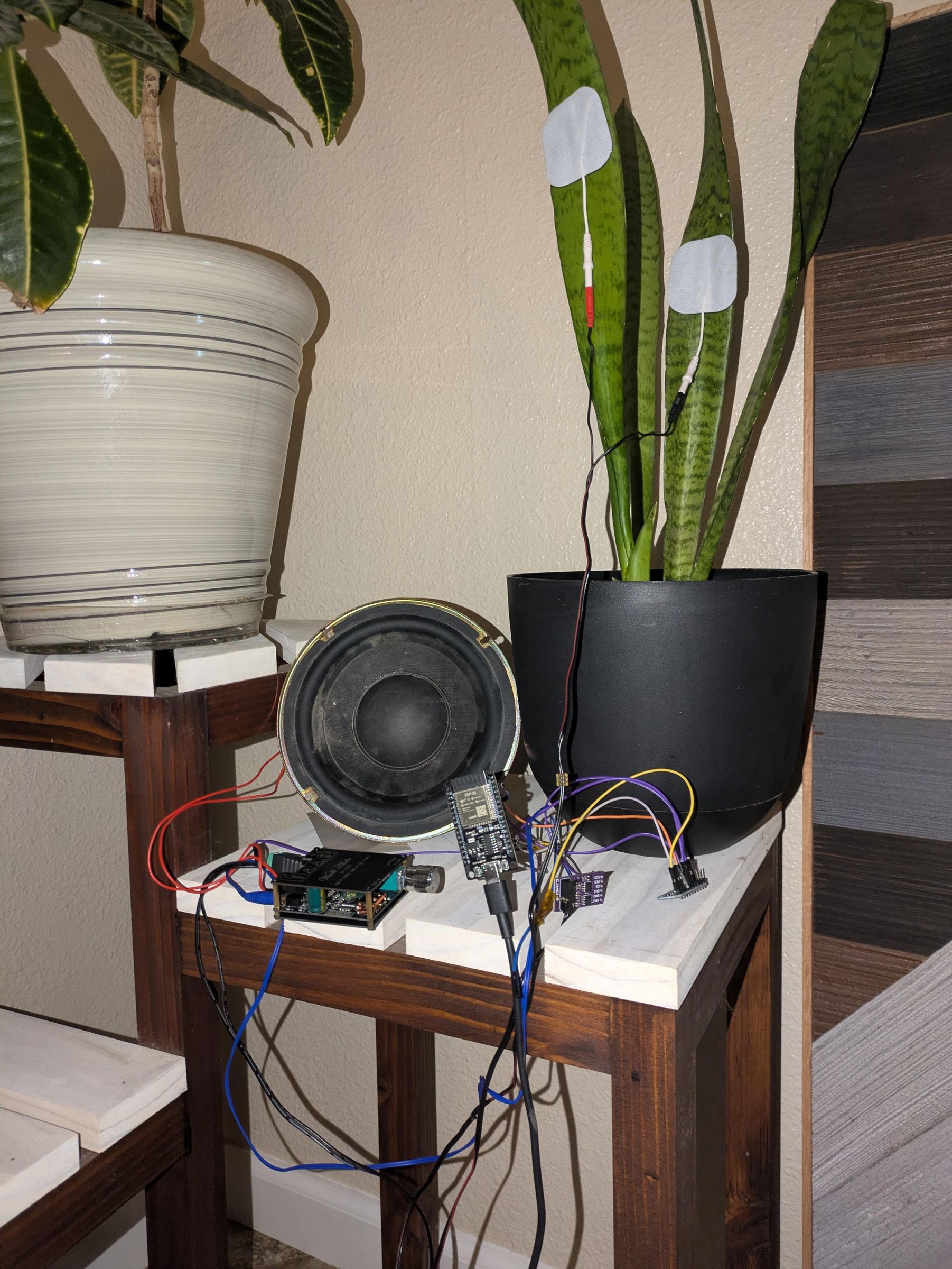 Build a Plant Sound Interface With ESP32 and CJMCU-6701