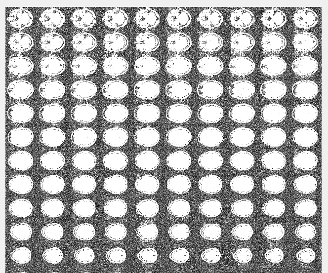 MRI Images of Healthy Brains Ages 19-72