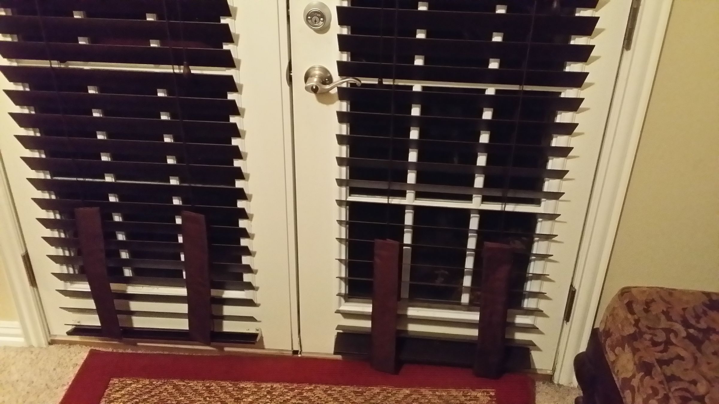 Pet Blind Protectors