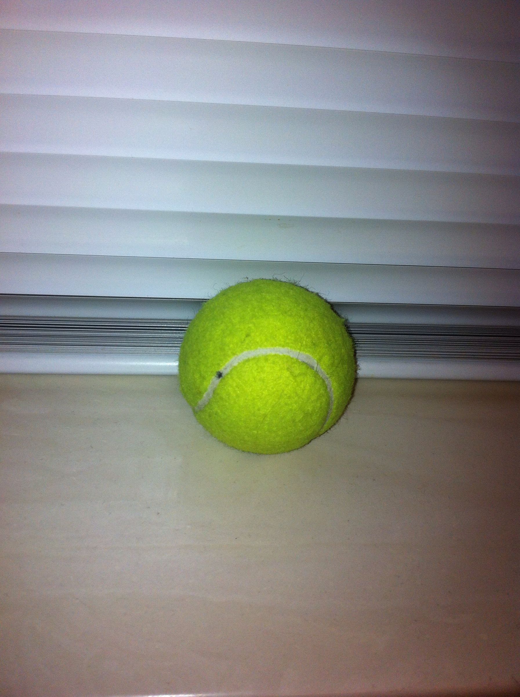 Secret Tennis Ball Compartment