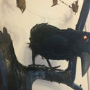 Maleficent's Raven - Robotized raven with LED eyes