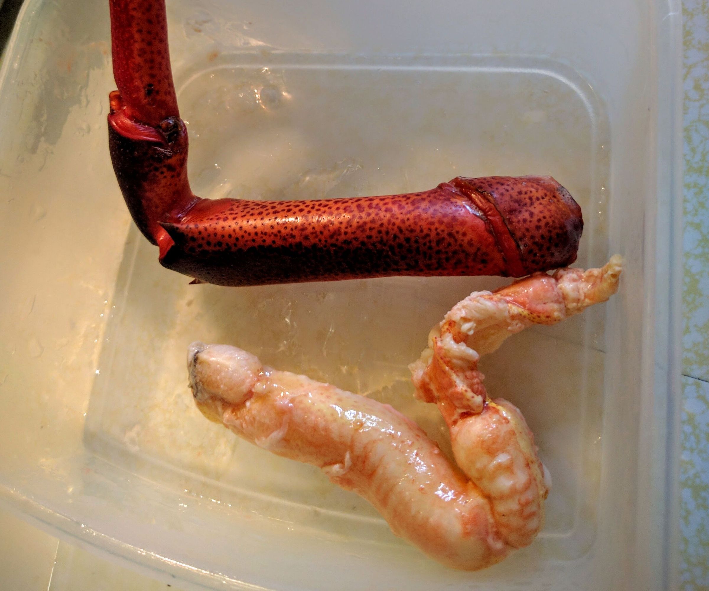 Magic Lobster Leg Meat Extraction