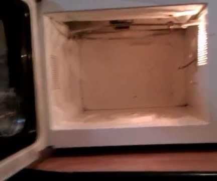 Queen Bee Incubator