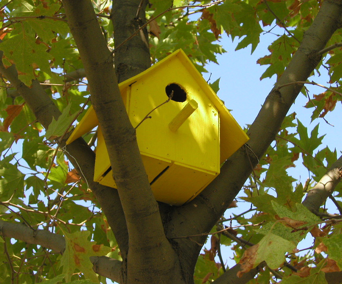 Birdhouse