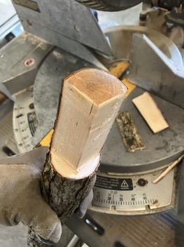 Cut Branch Logs, After Drying