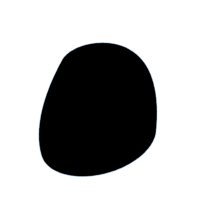 download {{ file.name }}