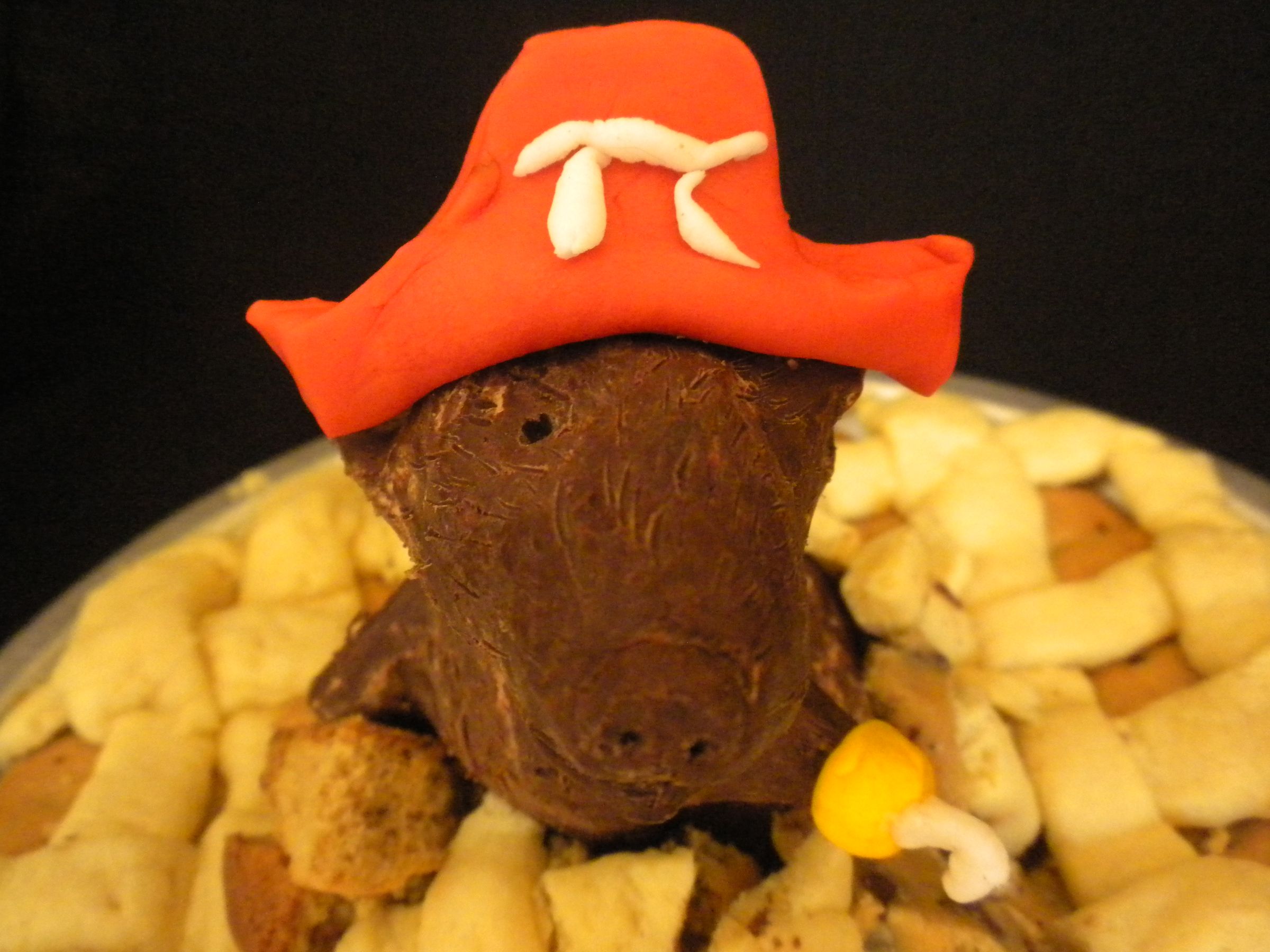 PiRat Pie 9 Steps (with Pictures) Instructables