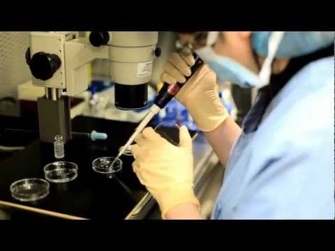 IVF Center Provides Best Solutions to All Pregnancy Problems