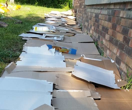 Cereal Box Weed Barrier