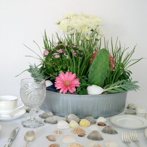 Coastal Floral Arrangement With Succulents