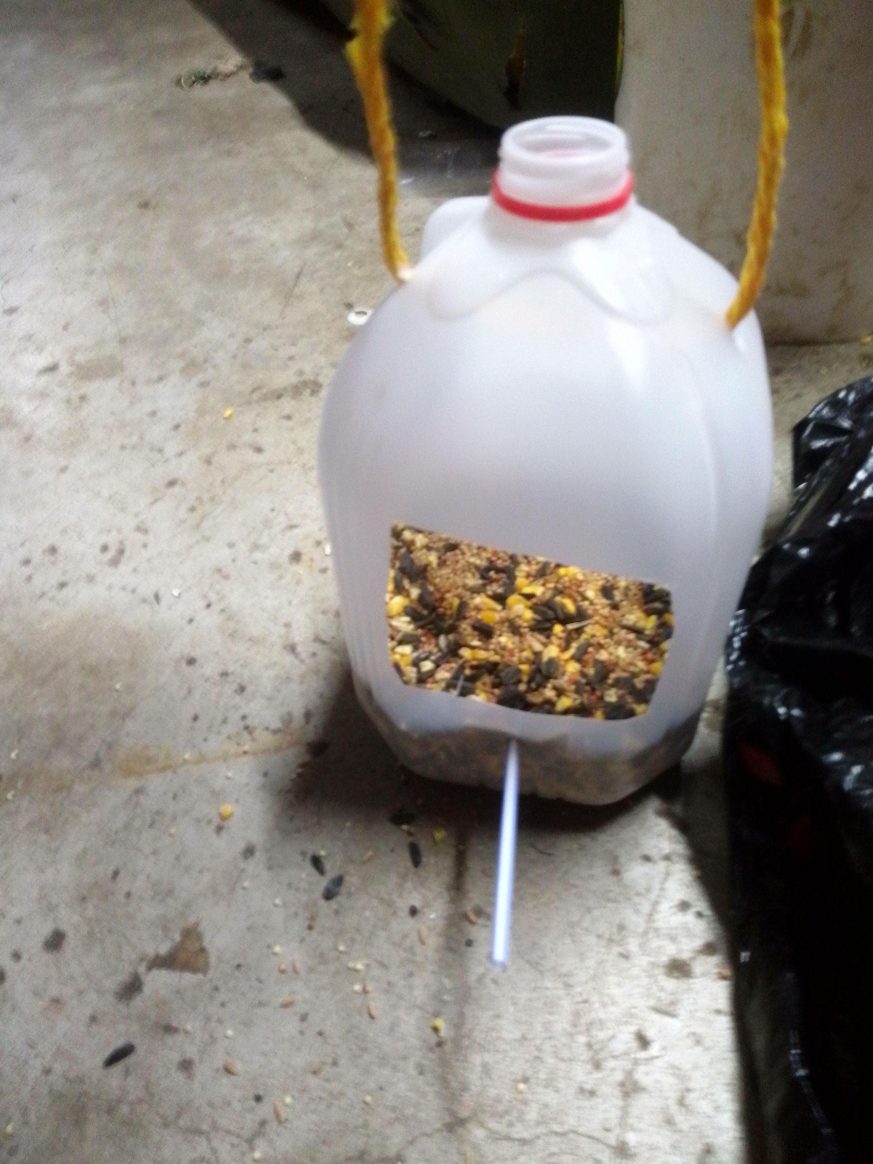 A Recycled Bird Feeder