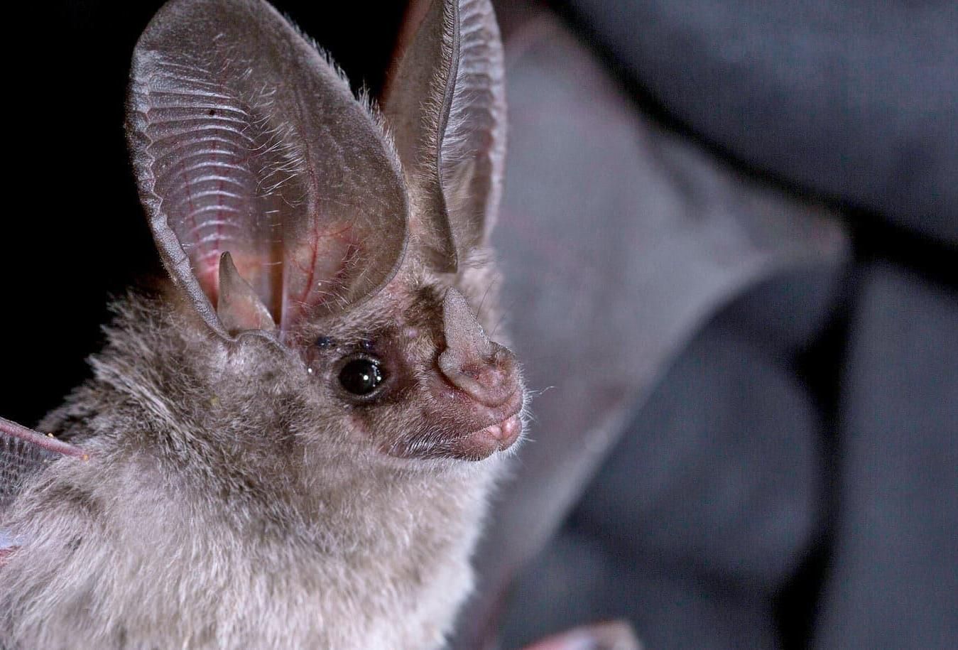 Aluminum Alloy Design Project