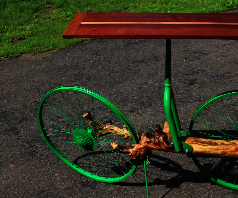 Tree Branch and Bicycle Hall Table