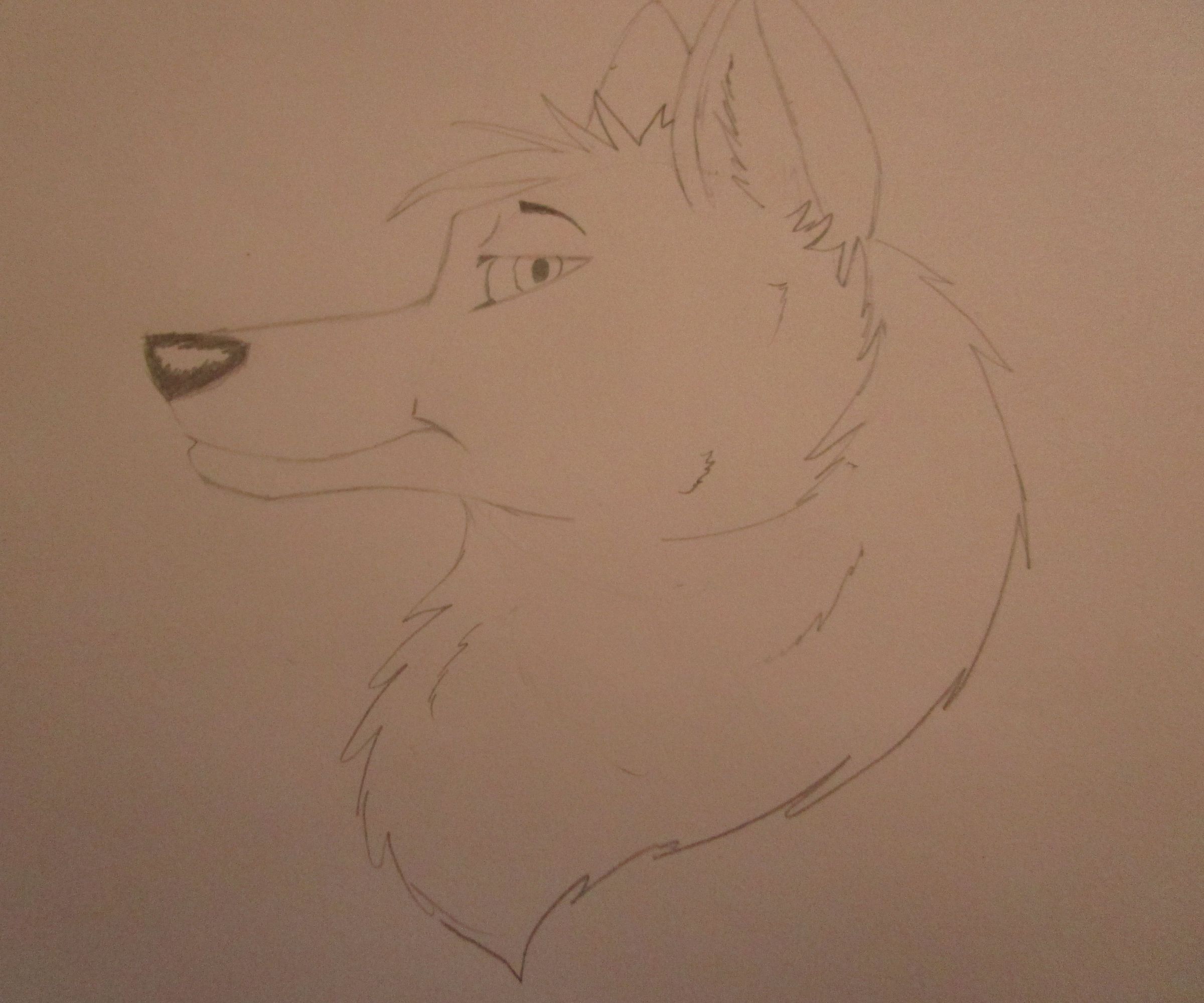 Drawing a Cartoon Fox