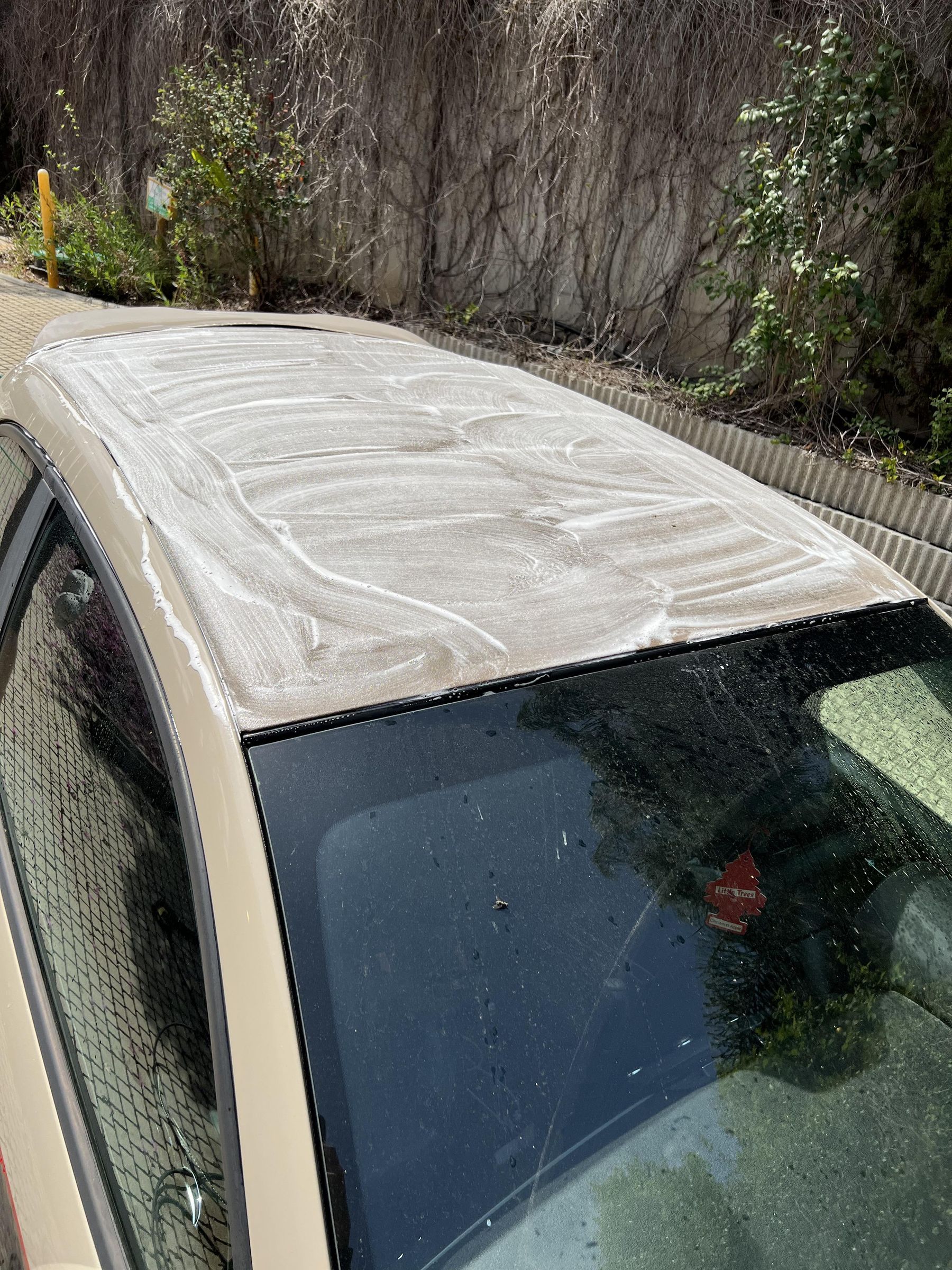 Cleaning Mold Off a Soft Convertible Top 6 Steps (with Pictures