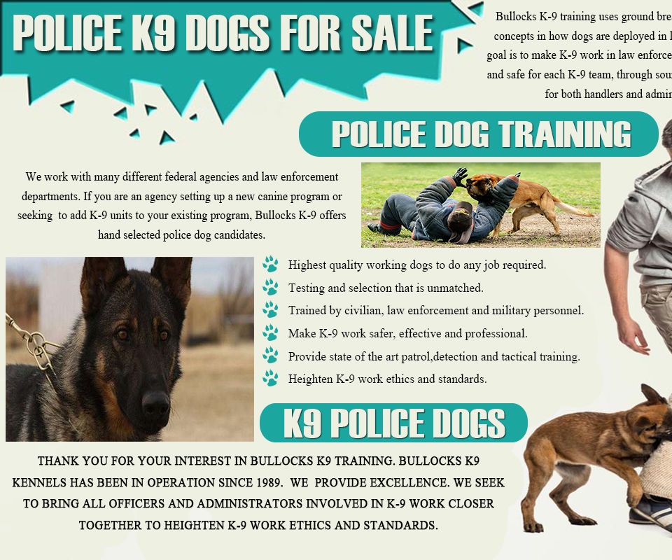Police K9 Dogs for Sale