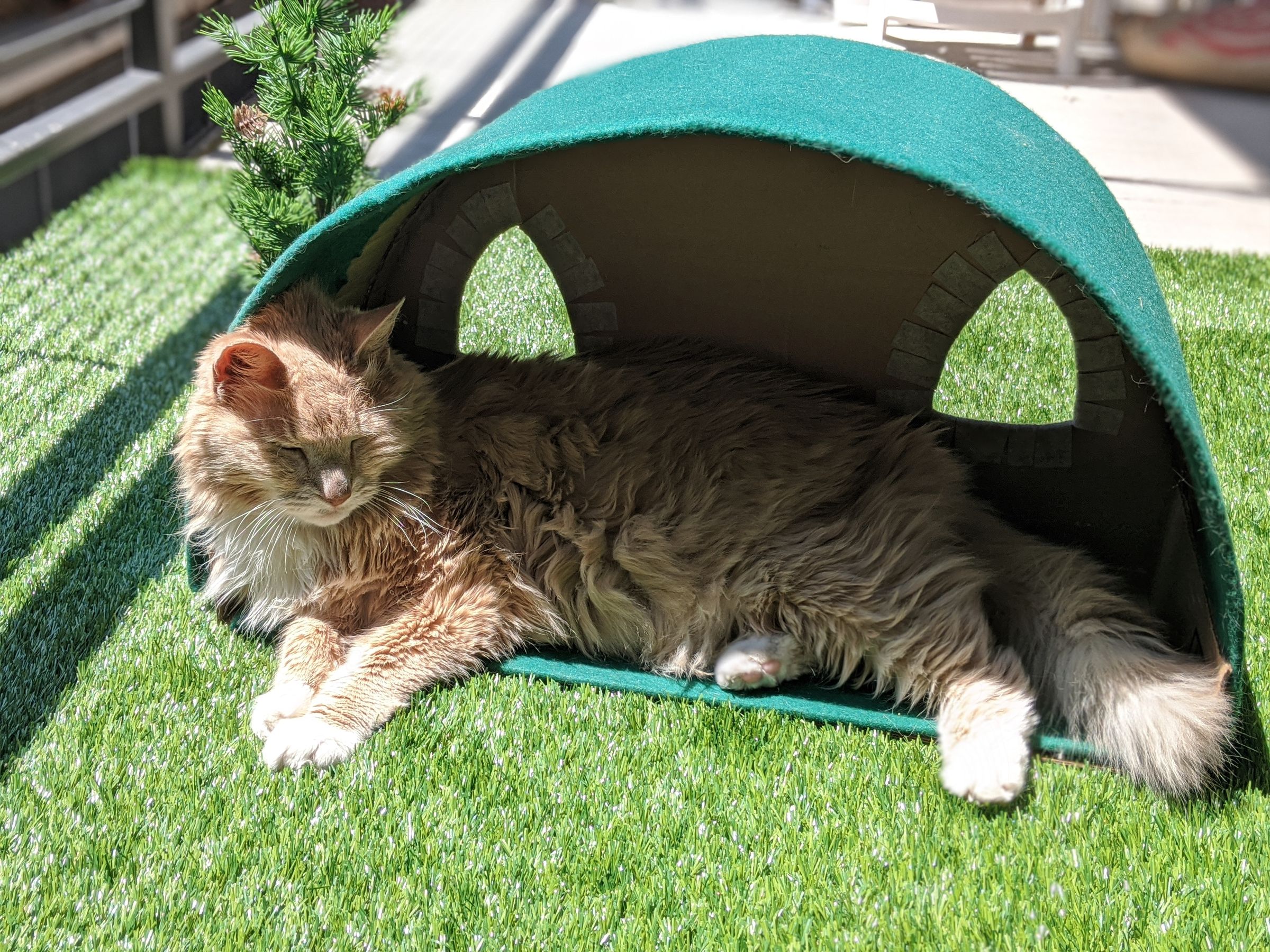 Hobbit Hole Cat House 12 Steps (with Pictures) Instructables