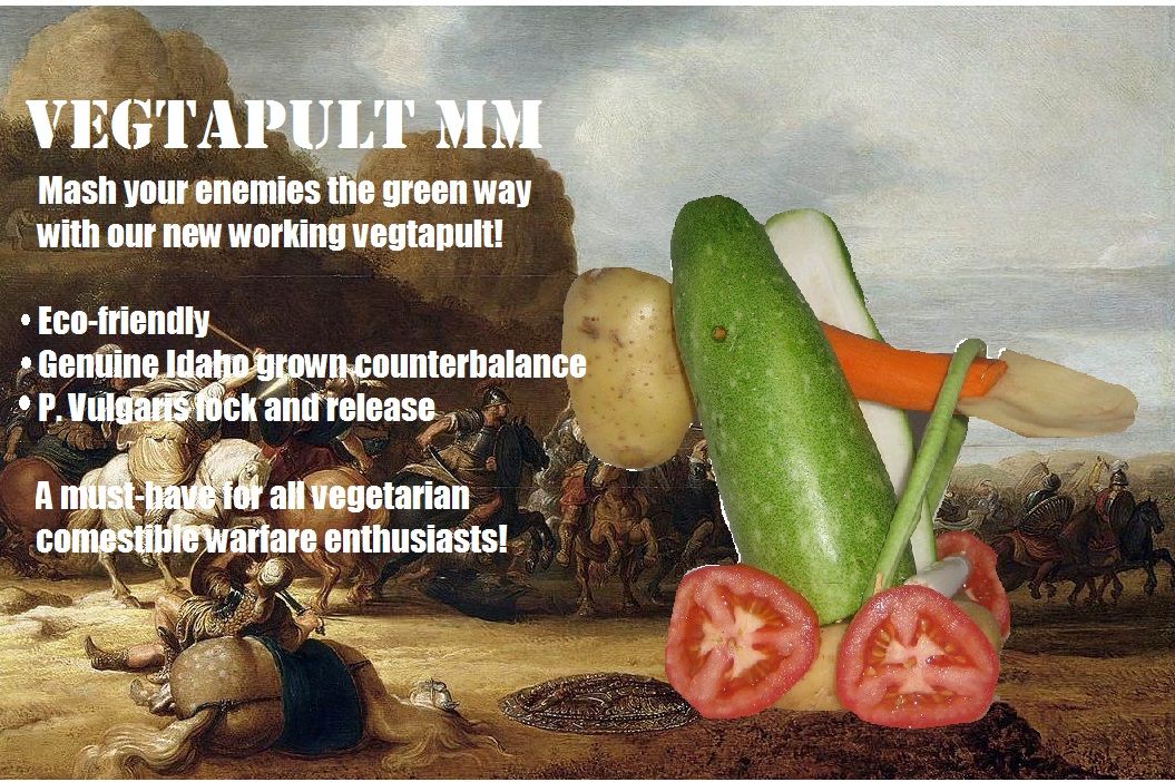 Vegtapult MM (2000)