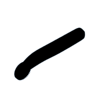 download {{ file.name }}