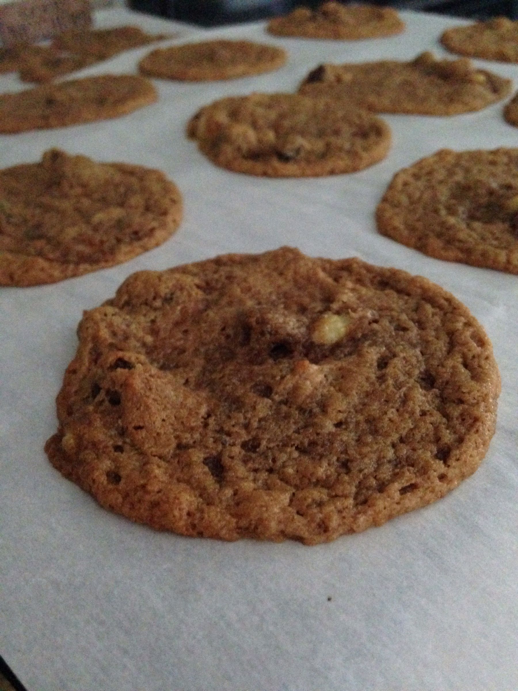 Gluten Free Peanut Butter Chocolate Banana Cookies