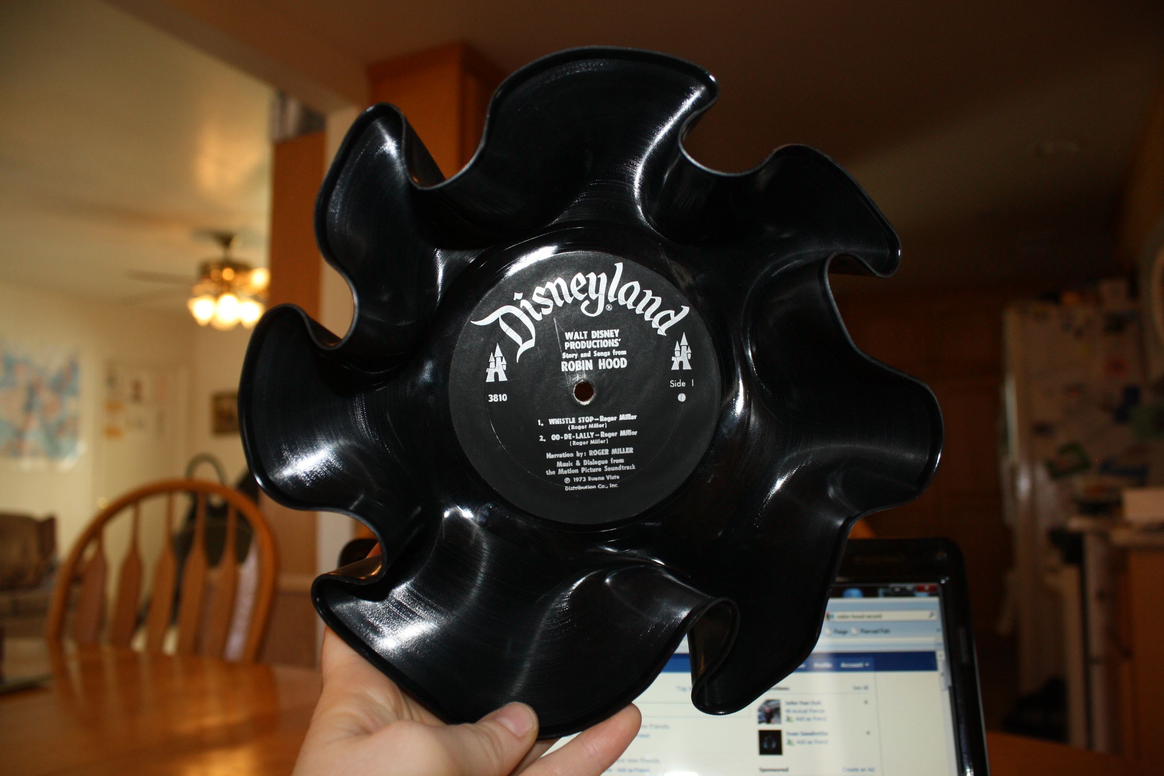 How to Make Vinyl Record Bowl