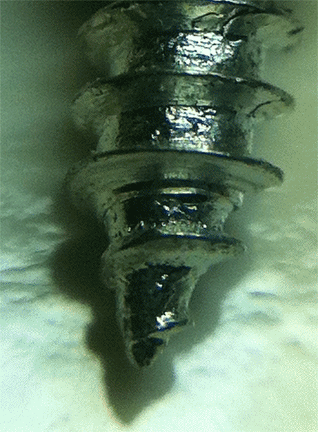 3D Animated Macro Image With Any Camera