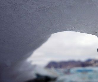   the Global Coordination to Fight Against Global Warming 