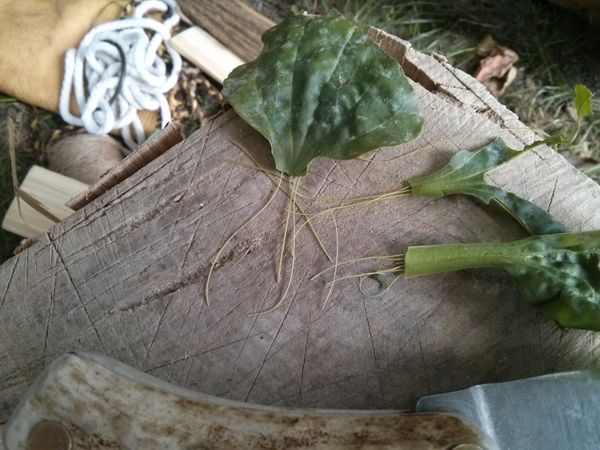 Primitive Net Making From Carving Your Needle to Weaving Your Net : 10 ...
