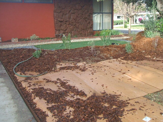 Getting the Lawn Ready