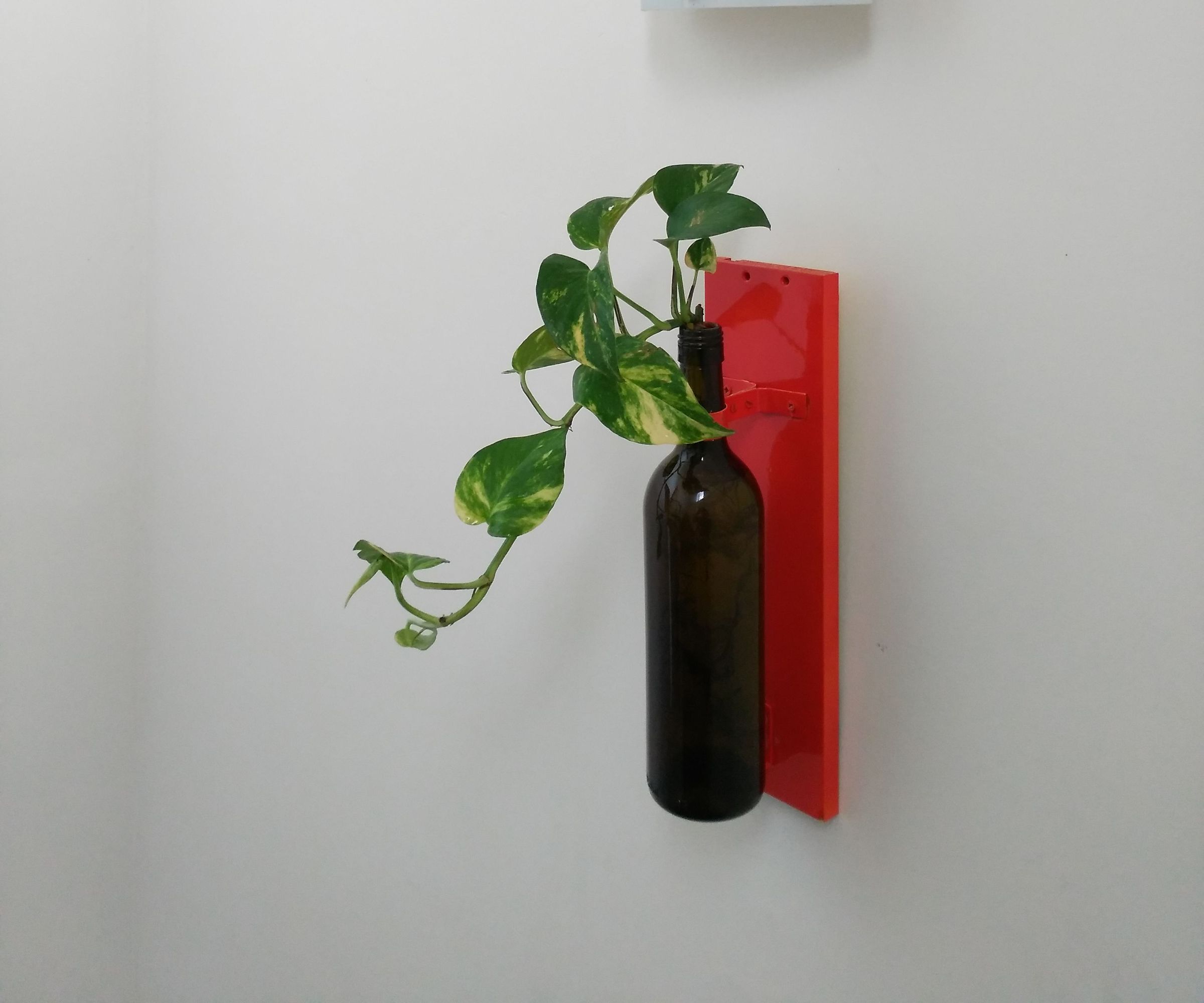 Wine Bottle Hanging Indoor Planter