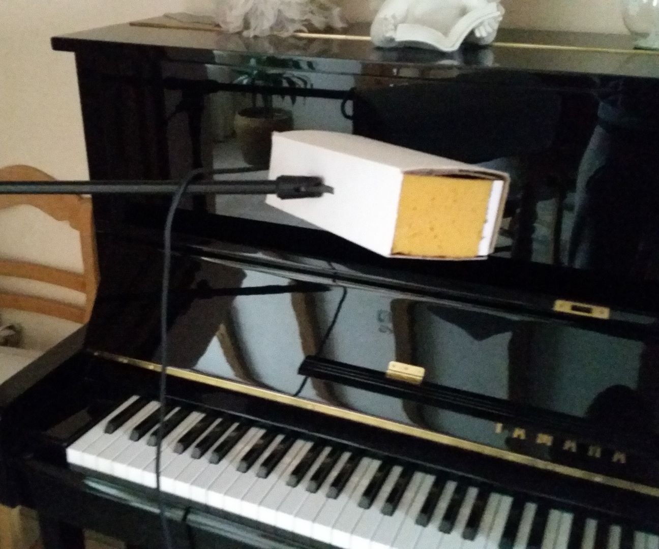 Cardboard microphone pop filter