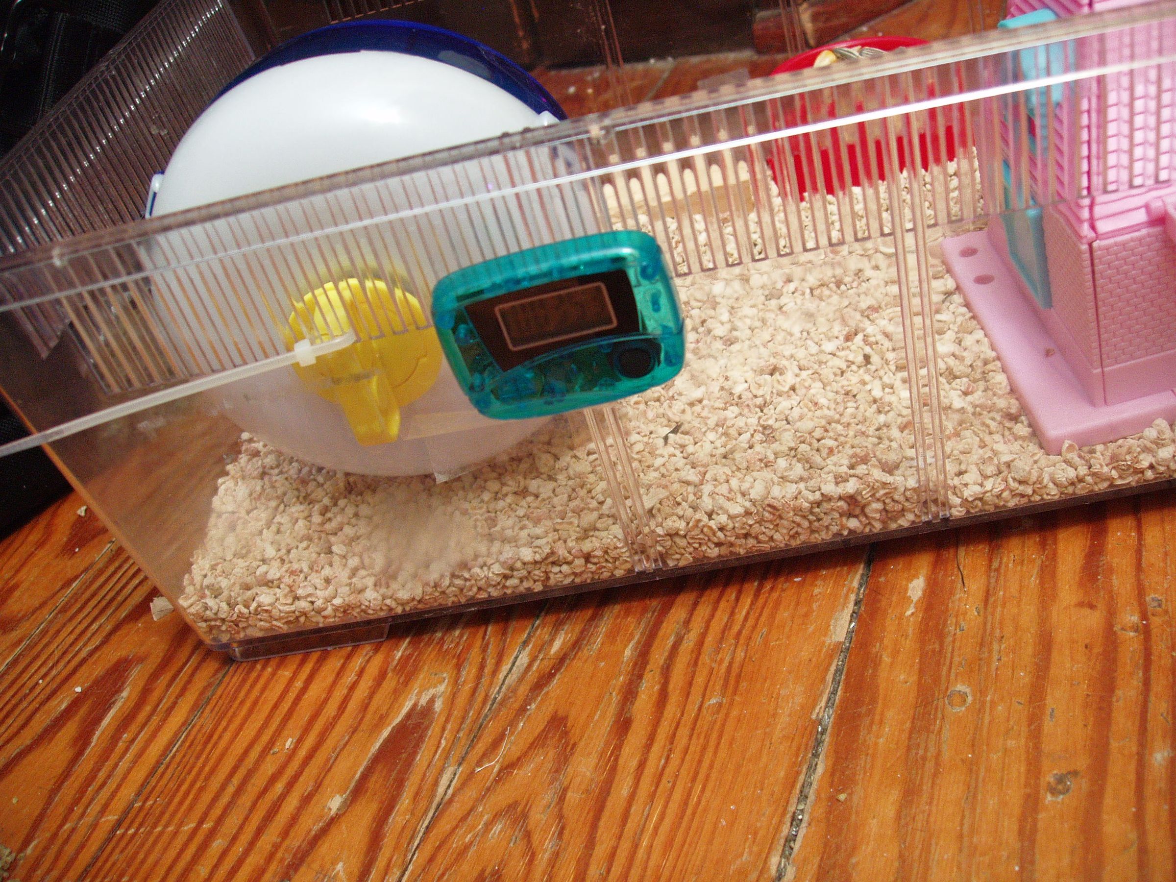 Hamster to Mongolia 5 Steps (with Pictures) Instructables