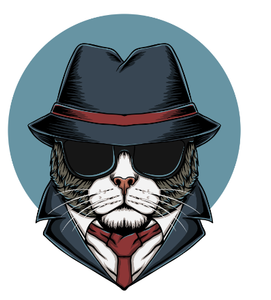 Spy-tech : Intruder Detection & Logging System