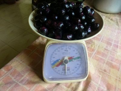 How to Make Jamun Wine : 8 Steps (with Pictures) - Instructables