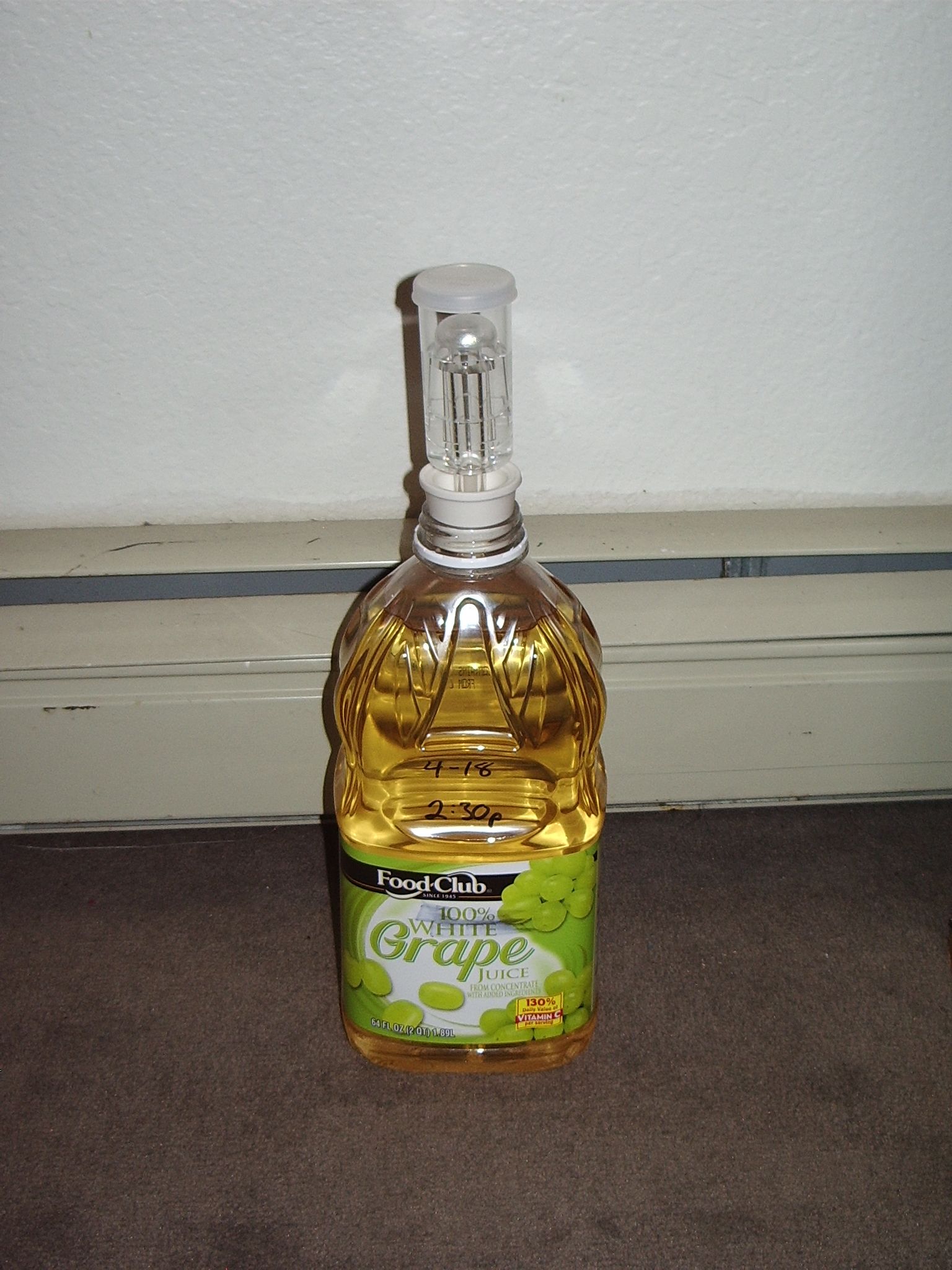 Making DIY Wine (Federweisser) 5 Steps Instructables