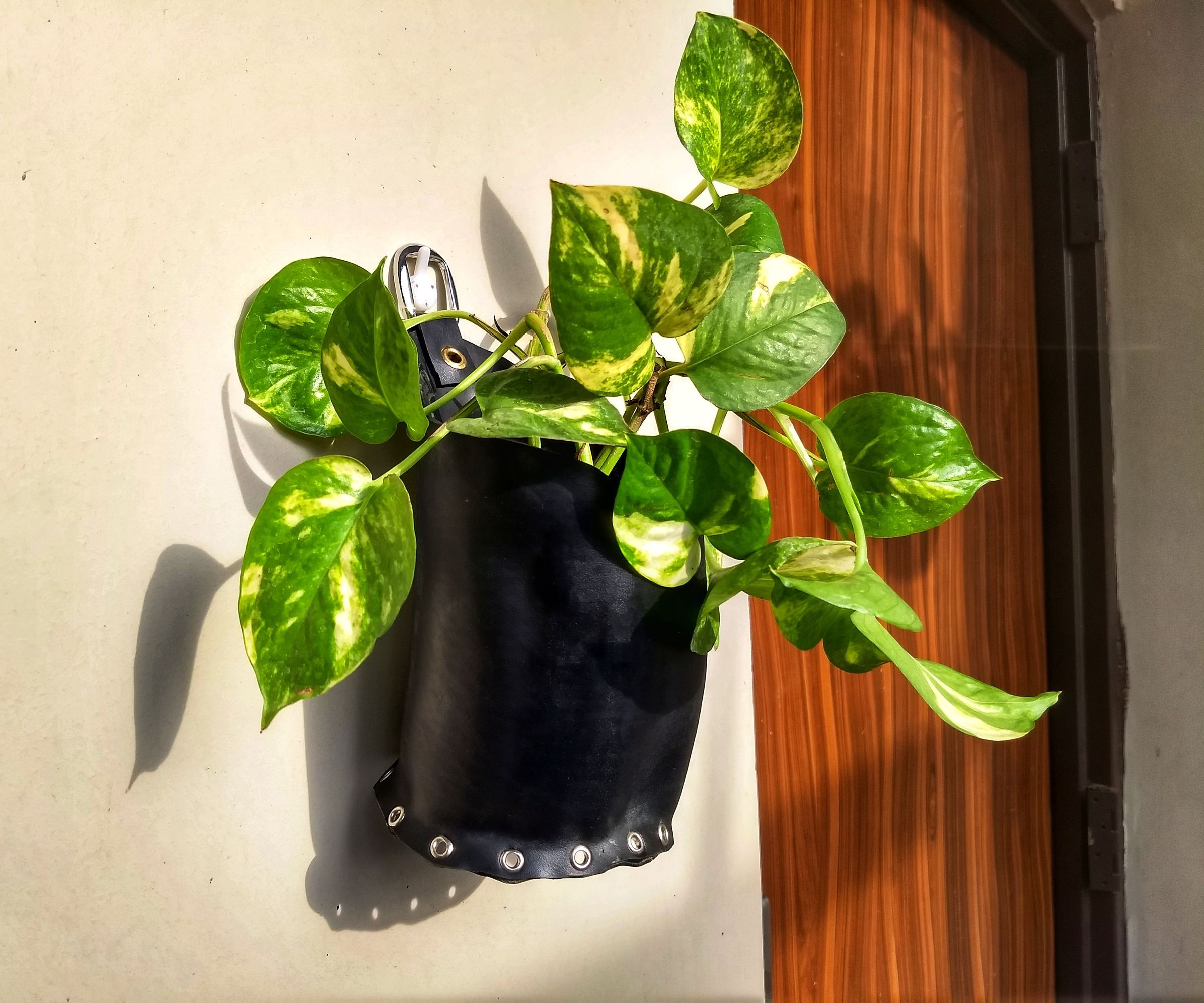 Make a Planter Using Car Inner Tube