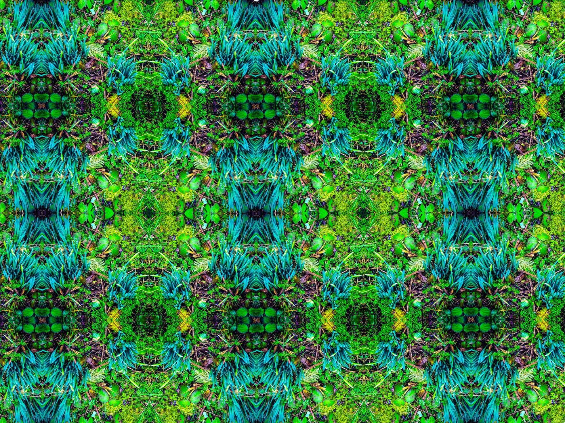 Making Patterns From Nature