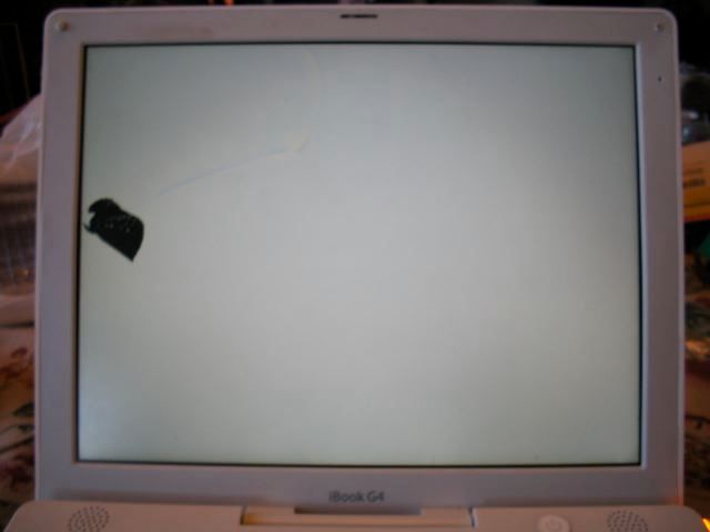DIY - Replace Broken Laptop LCD