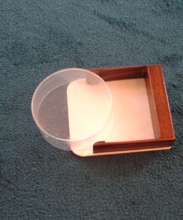 Why Save a Bug? Catcher