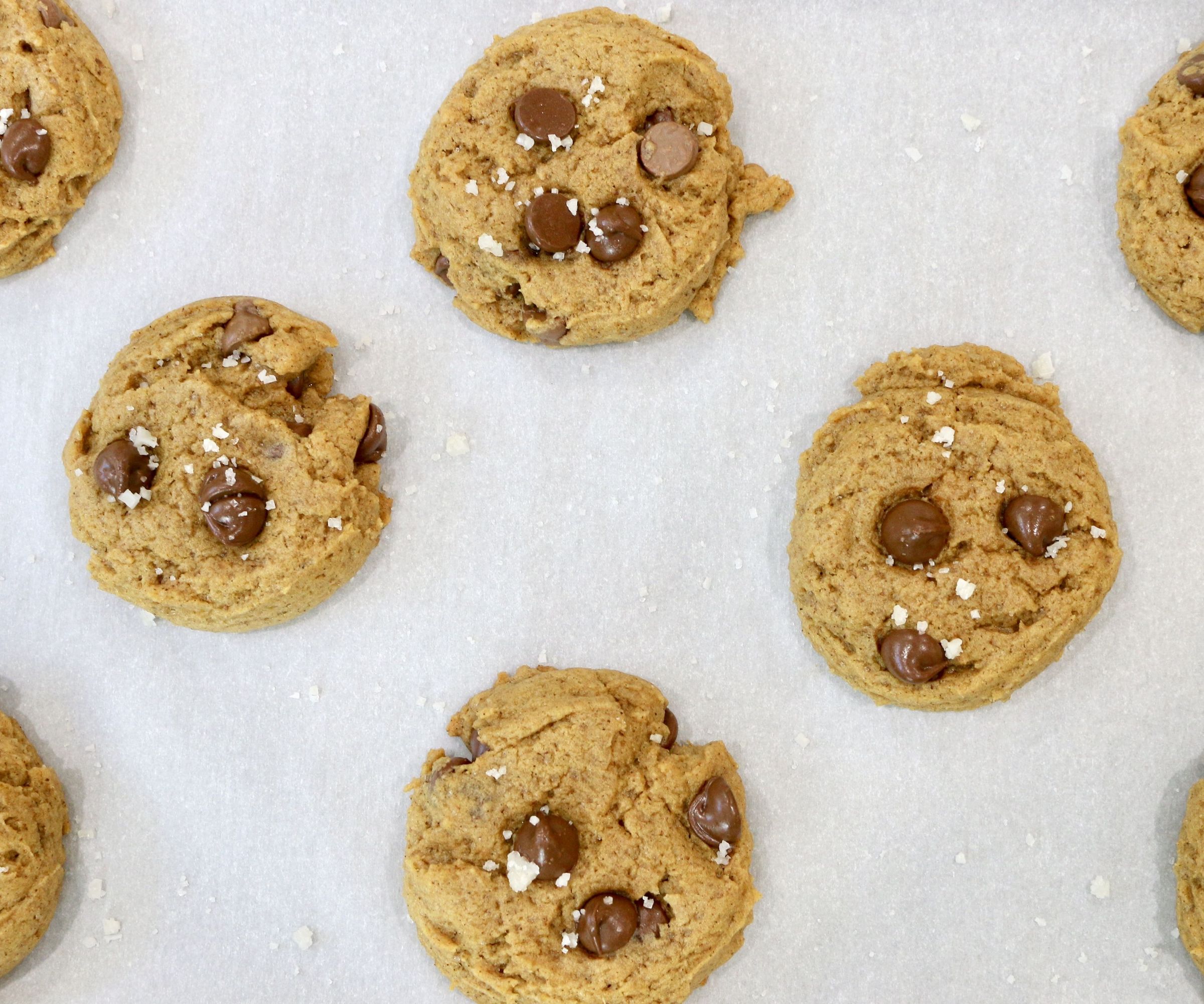 Pumpkin Chocolate Chip Cookies Recipe 
