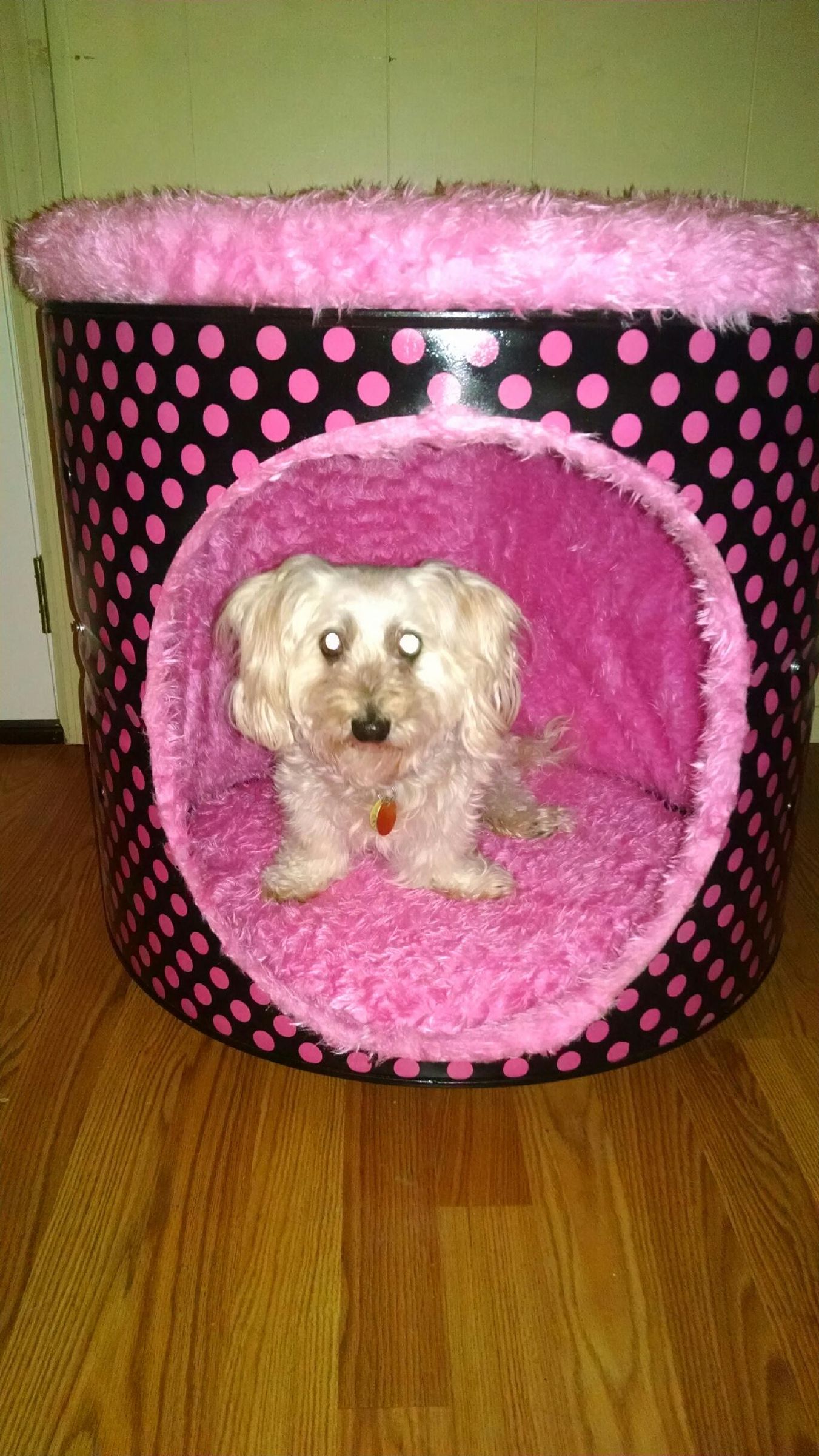Dryer Drum Dog Bed