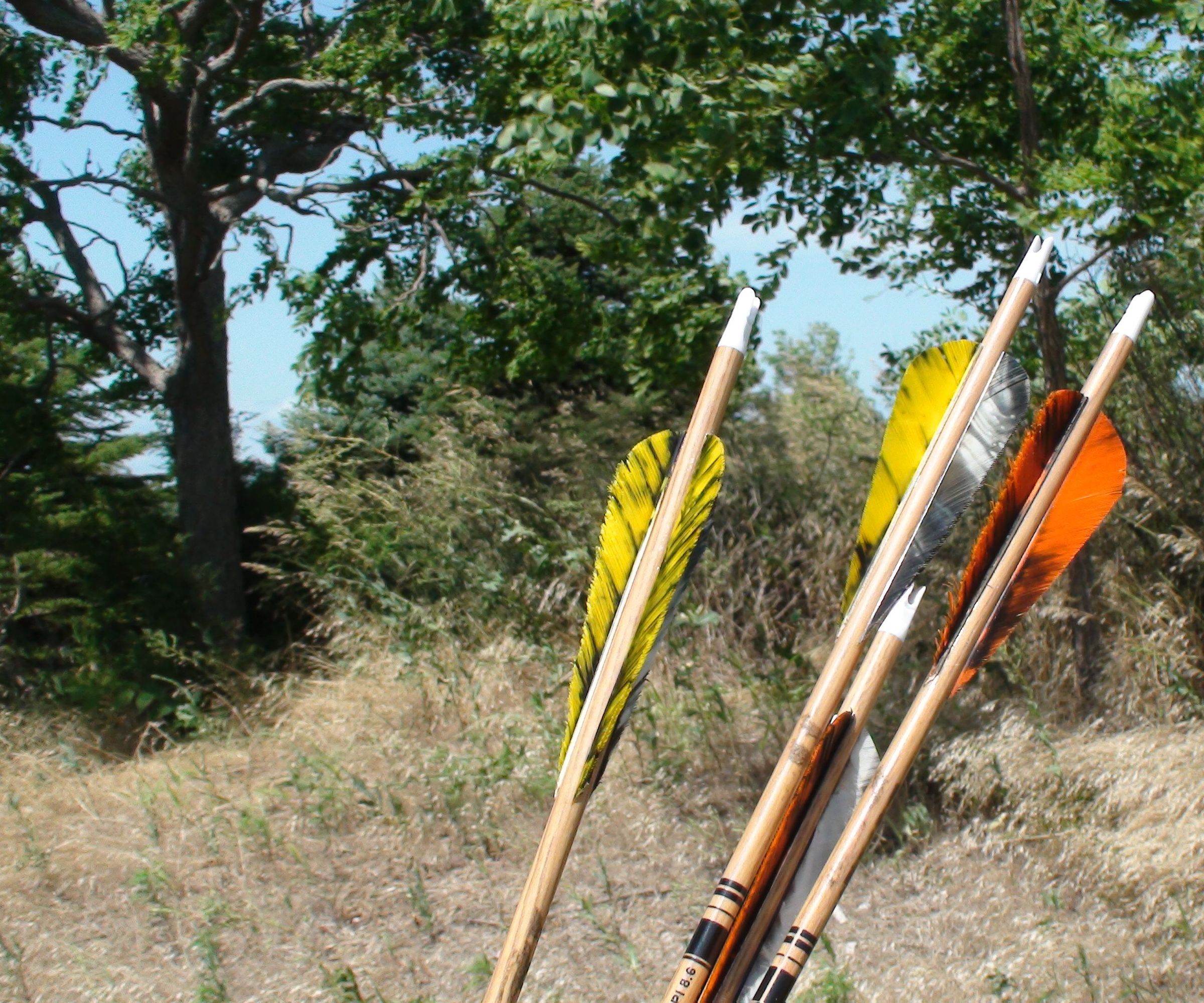 How to Flex Test Your Arrows 