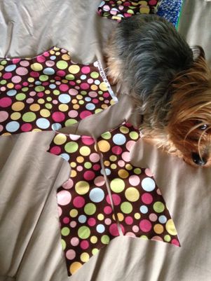 dog dress cutting 7 Dogs dress ideas